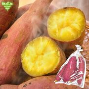 �ȤϤ뤫 600g (1��100��500g) ȯ������8���4�� 2026ǯ��