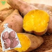 ��Ǽ�Ȱ� 600g (1��100��500g) 2026ǯ�� ȯ������9���