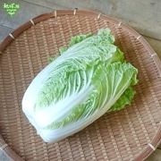  S 1 (800g1.2kg) ȯ12ܡ