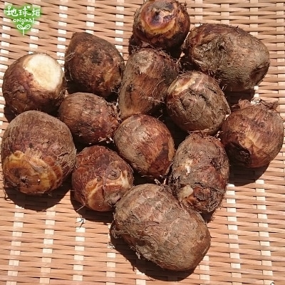 ���Ȥ��� 500g (1��20g��200g) Τ�� ȯ������8��ܡ�2��