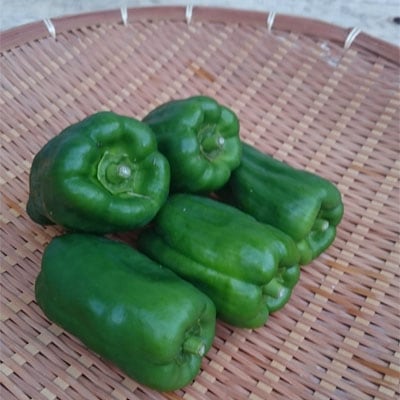 ピーマン 150g 冷蔵便 | パック売り野菜 | 地球畑【公式】オンライン