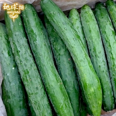 夦 4kg ¢ ȯ67