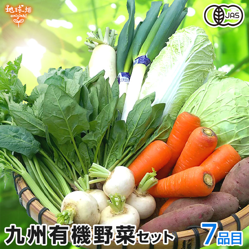 有機野菜セット おまかせ7品目 冷蔵便 | 箱売り野菜 | 地球畑【公式