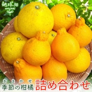 ���̥��å� ��12kg ȯ������1���4��