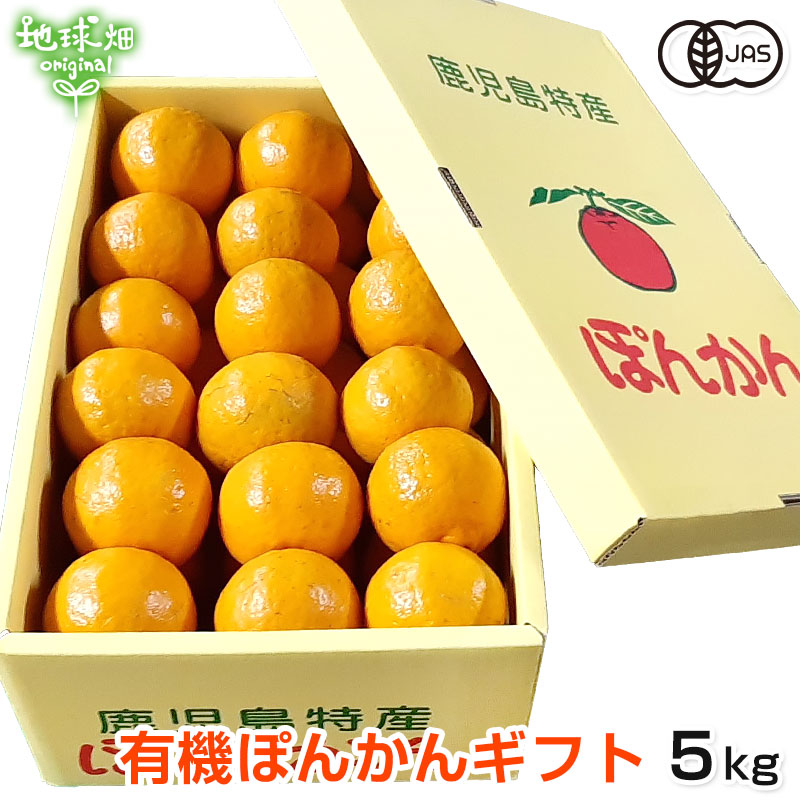 ��2025ǯ12���ȯ����No.3-2 �ϵ�Ȫ��ͭ���ݤ󤫤󥮥ե�5kg ȯ������12��� �ݥ󥫥�