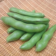 ޤ 300g ¢ Ʀ Ʀ ȯ45