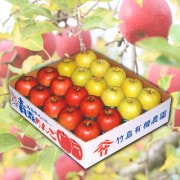 No.4-4 ͭΤ(դ) 5kgڻľ̵ ϰ