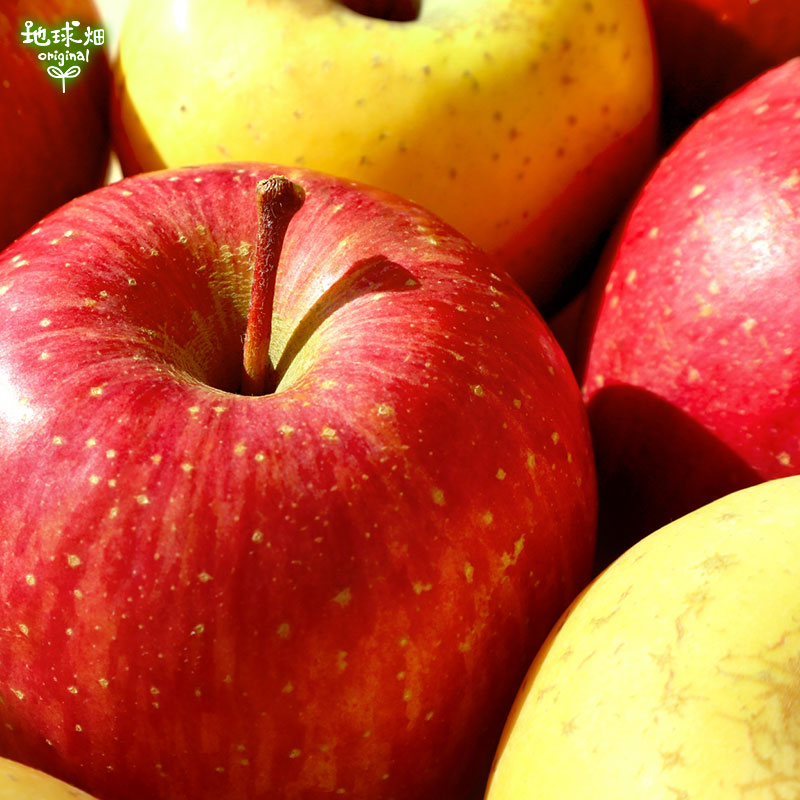 No.4-4 ��������Τ�� �դ�(��)�����ʥΥ������(��) 3kg�ڻ���ľ��������̵����