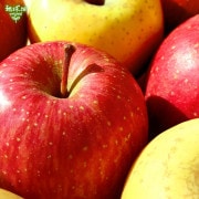 No.4-4 ��������Τ�� �դ�(��)�����ʥΥ������(��) 3kg�ڻ���ľ��������̵����