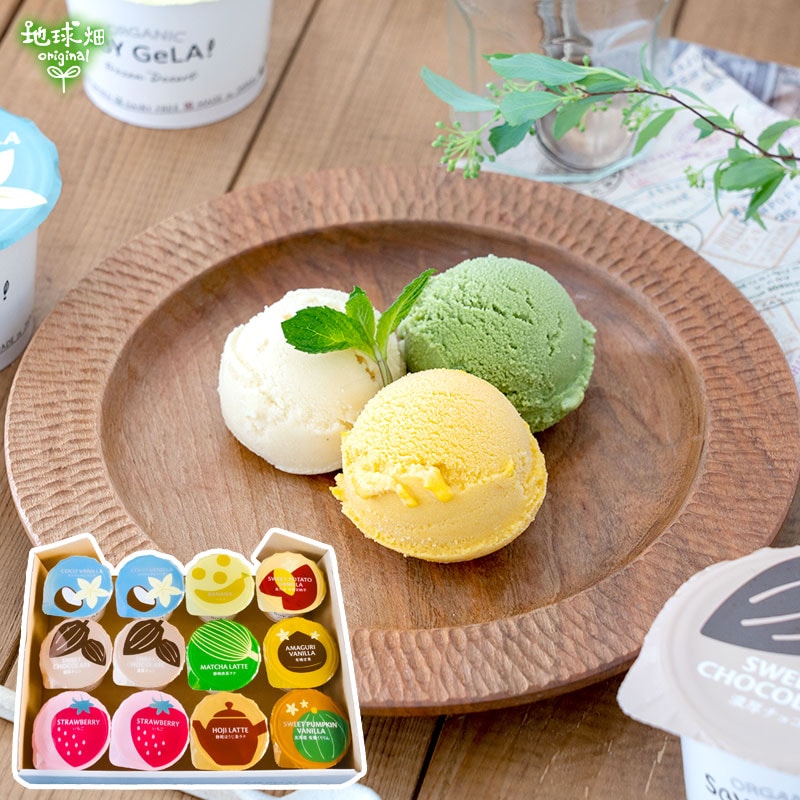 No.14-6 SOY GeLAオーガニック豆乳ジェラート 6個セット 冷凍便【産地