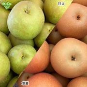 9����ȯ�� No.4-2 ���Ĥ�Į�Ի�����δ������ʼ��� 3kg�ڿ��̸��ꡦ����ľ����