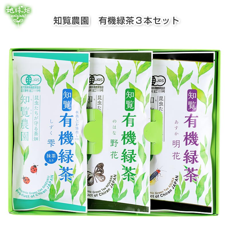48本】 LDC お茶屋さんの緑茶 500ml 7134588 │アイリスオーヤマ