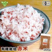 ͭ���Τ���(����) 300g