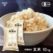 3/19ȯ�� ͭ������ 10kg ����7ǯ�� ������ ���� �ܺ� �������� �ҥΥҥ��� ���ޤ���ε��� 2025ǯ�� ̤������