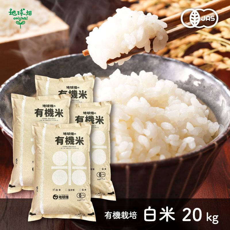 7/30ȯ�� ͭ������ 20kg ����7ǯ�� ������ ���� �ܺ� �������� �ҥΥҥ��� ���ޤ���ε��� 2025ǯ�� ̤������