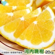 �����մ��ʤ�����Ф󤫤�� 20kg ���̺��� ȯ������3���6��
