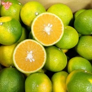 �������ȥ��ץ�� ���1�ĥѥå� ȯ������12���2��