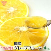 ���졼�ץե롼�� 4kg ���̺��� ȯ������4���5��