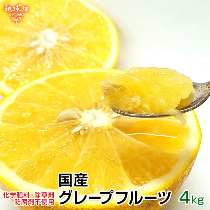 ③世界遺産屋久島産グレープフルーツ10kg　EM栽培農薬不使用　樹上完熟農園直送 グレープフルーツ 10kg」の人気商品一覧 | 安い商品を通販サイトから