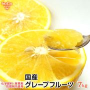 ���졼�ץե롼�� 7kg ���̺��� ȯ������4��5��