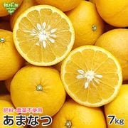�Ų� 7kg �����������Ի��� ȯ������2���4��