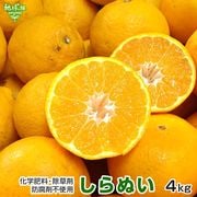 2����ܰʹ�ȯ�� ���β�(����̤�) 4kg ���̺��� ȯ������2���3��