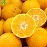 β(̤) 4kg ȯ13