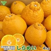 ���β�(����̤�) 4kg ���̺��� ȯ������2���4����