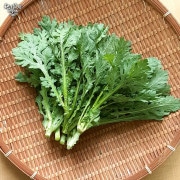 յ 150g ȯ122