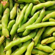 ����ޤ� 4kg ��¢�� ��Ʀ ����Ʀ ȯ������4���5��