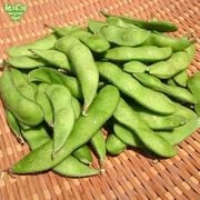 ��Ʀ 1kg �����ޤ� ��¢�� ȯ������6���7��