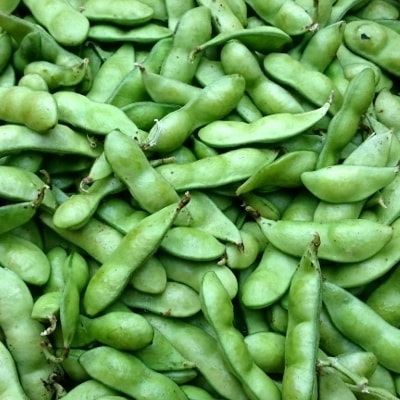 枝豆 20kg 冷蔵便 発送期間6月～7月、10月中旬 | 箱売り野菜 | 地球畑