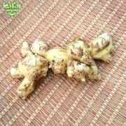 2025ǯ�� ����ժ 150g�ѥå� ���礦��