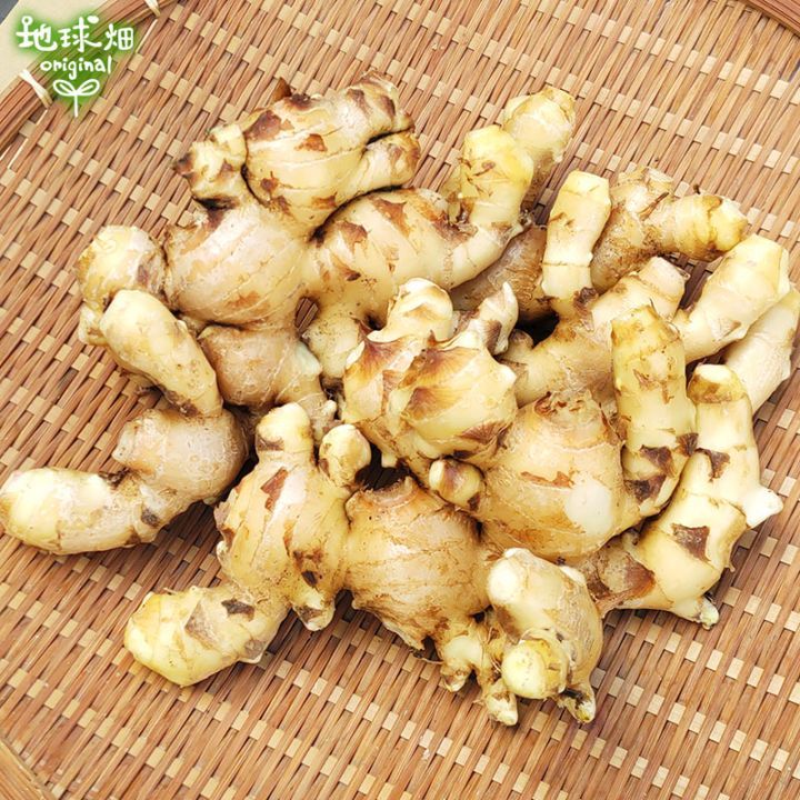 2025ǯ�� ��ժ 4kg ���礦��