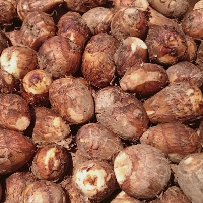 ���Ȥ��� 4kg (1��20g��200g) Τ�� ȯ������8��ܡ�2��