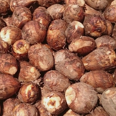 ���Ȥ��� 18kg (1��20g��200g) Τ�� ȯ������8��ܡ�2��