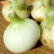 �����ޤͤ� 4kg (1��100��400g) �̤ͤ� ��Ǭ ȯ������4��6��
