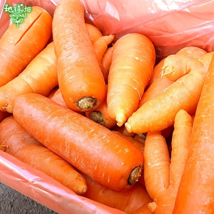 ������ �ͻ� 18kg ȯ������12���6��