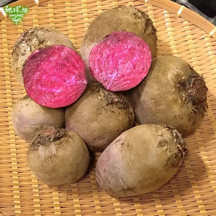 ビーツ 2kg (1個100～350g) 冷蔵便 | 箱売り野菜 | 地球畑【公式