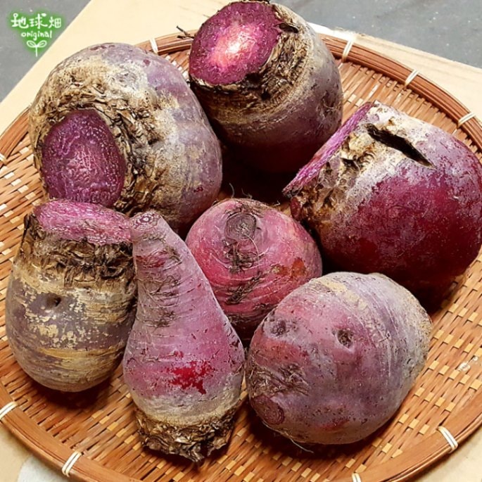 訳あり ビーツ 9kg 冷蔵便 | 箱売り野菜 | 地球畑【公式】オンライン