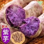 ������ ��� 9kg 2026ǯ�� ȯ������9���11��