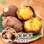��Ǽ�� S (1��100g̤��) 18kg 2026ǯ�� ȯ������9���
