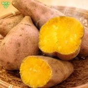 ��Ǽ�� ML (1��100��500g) 2kg 2026ǯ�� ȯ������9���