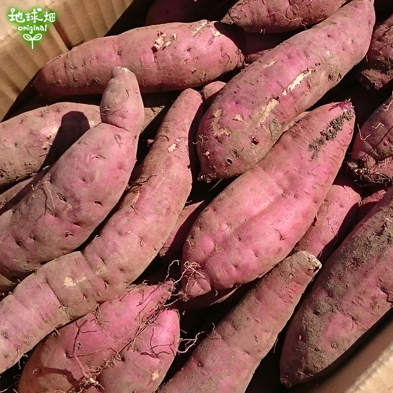 ������ �ȤϤ뤫 18kg ȯ������9���2��