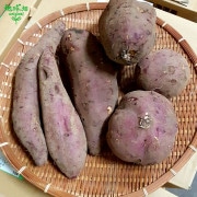 ������ ���륯�������� 18kg ȯ������9���ܡ�����