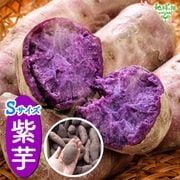 ��� S (1��50��100g) 2kg 2026ǯ�� ȯ������9���11��