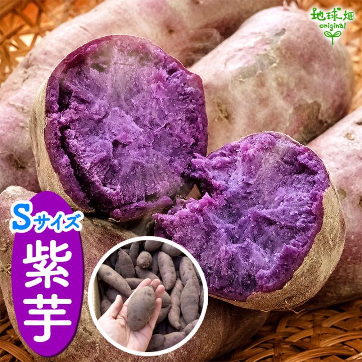 紫芋 S (1本50～100g) 2kg 2026年産 発送期間9月～11月 | さつまいも