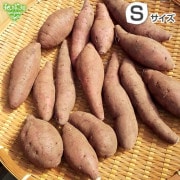 (Ĥ鷺) 륯 S (1100g̤) 4kg ȯ1012