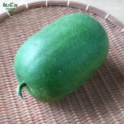 ɱȤ 1 (12kg) ߱ ȯ8ܡ11