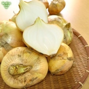 ������ ���ޤͤ� 8kg �̤ͤ� ��Ǭ ȯ������4��6��